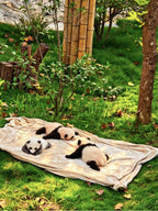 6D5N Sichuan Grand Loop MINI SMALL GROUP