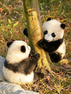 6D5N EXPLORE SICHUAN FREELY MINI SMALL GROUP