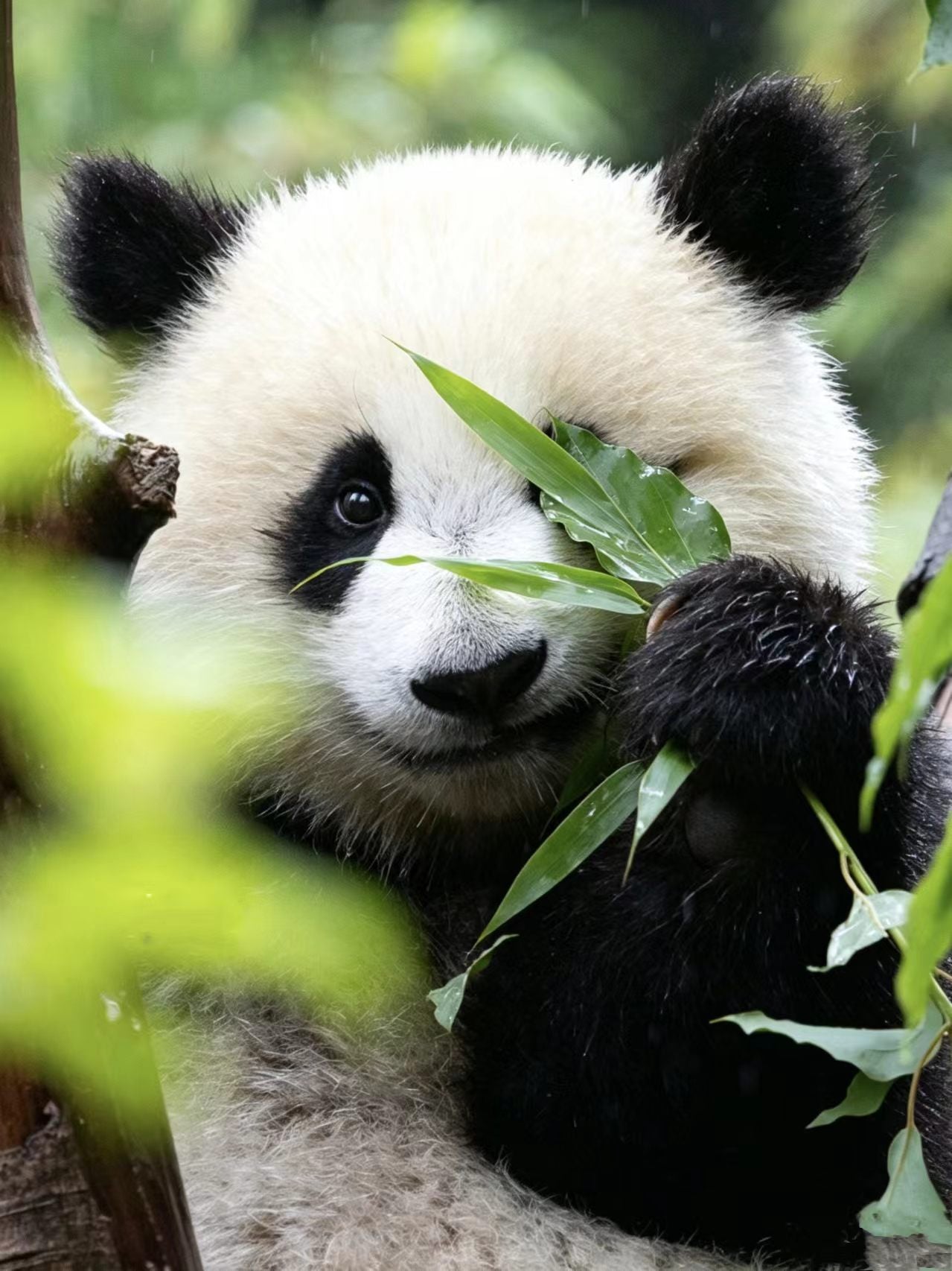 6D5N EXPLORE SICHUAN FREELY MINI SMALL GROUP
